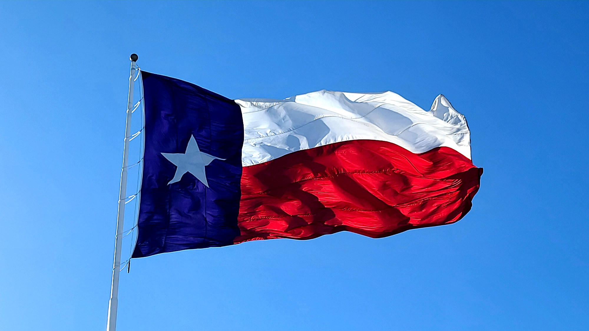 The Texas Flag